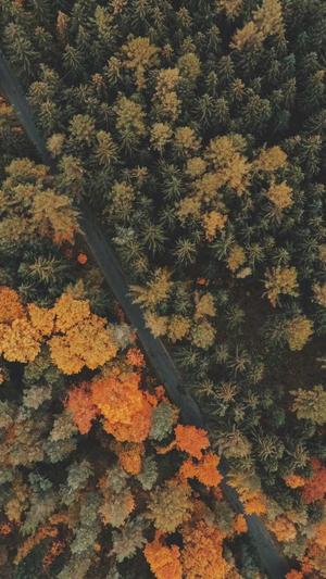 蜘蛛池tdk缓存几小时截图2