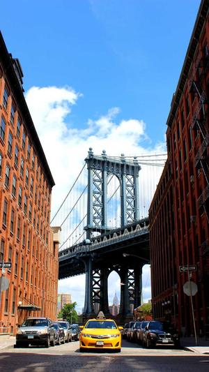 泛目录引百度蜘蛛截图2