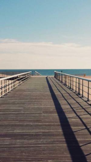 零距离泛目录营销截图4