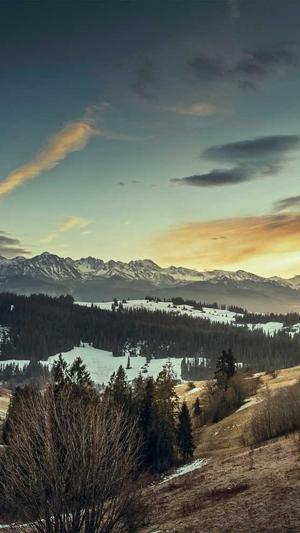 孝感网站建设截图4