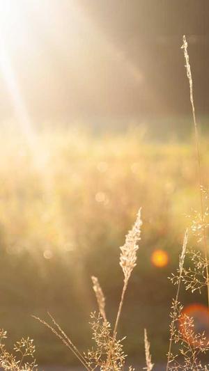 泛目录站群系统源码截图2