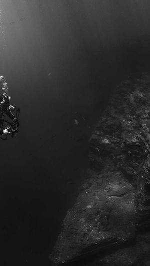 成都网站建设今明互联截图4