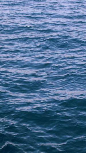 上海网站建设公司截图1