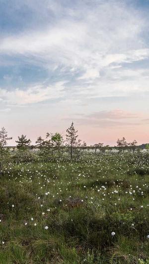 郑州seo张炎截图2