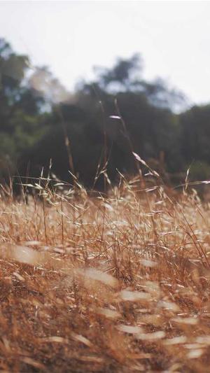 扬州网站建设截图2