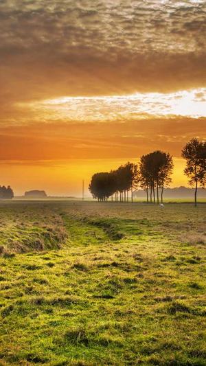 泛站群目录截图4