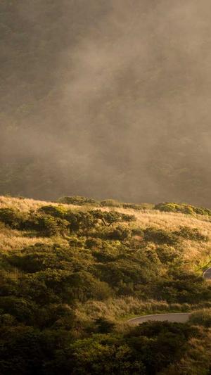 最新秒收蜘蛛池出租截图1