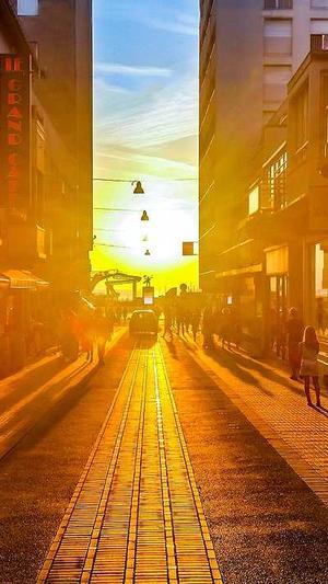 超级蜘蛛池真的有效吗截图3