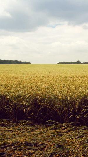 蜘蛛池怎么做最好截图1