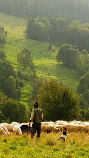 小霸王万能蜘蛛池截图5