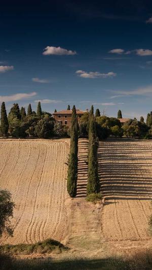 泛目录购买截图2