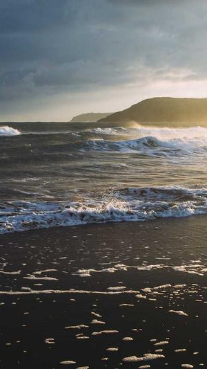 建设个网站截图3