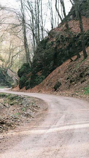 seo工具哪个好用截图1