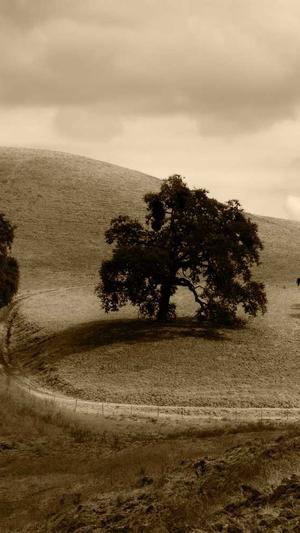 蜘蛛池工具全志zjkwlgs截图2