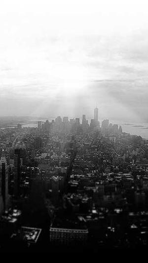 seo在线优化工具 sit截图3