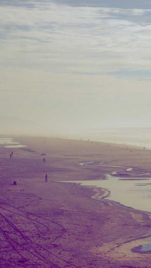 东莞网站建设网站建设截图4