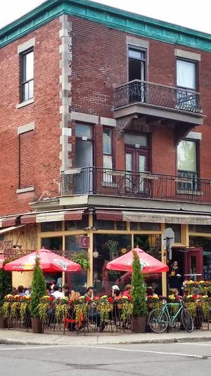 蜘蛛池工具全志zjkwlgs截图5