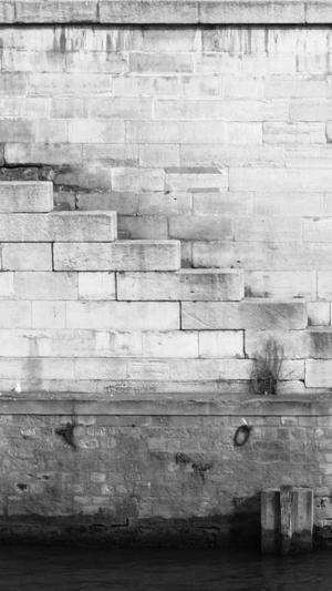 蜘蛛池外lian截图2