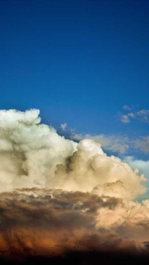 seo工具大全截图4