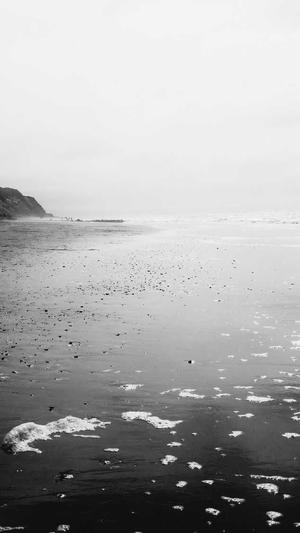 微信seo工具截图2