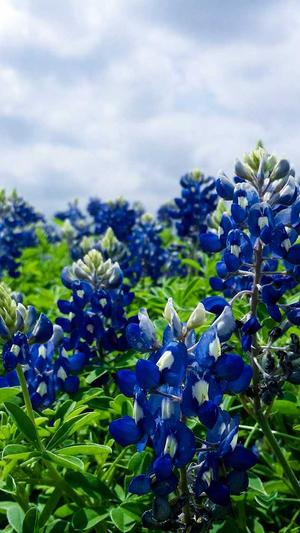 百万蜘蛛池截图2