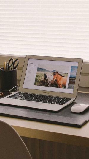 seo排名工具提升流量截图1