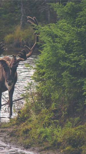 谷歌seo外链工具截图2