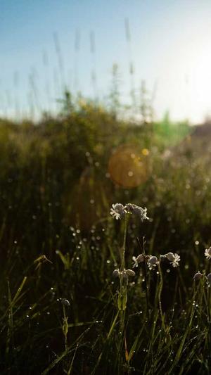 泛站群目录截图1