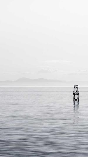 seo推广优化工具截图2