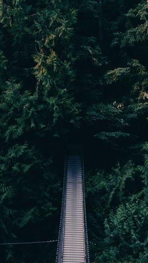 泛目录资源博客截图1