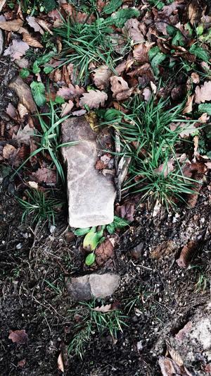 威海网站建设截图2