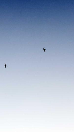 蜘蛛池如何盈利截图1