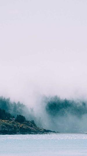 免费网站建设真有这样的好事截图3