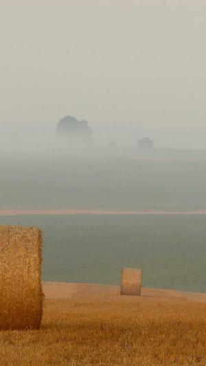 最新蜘蛛池下载截图1