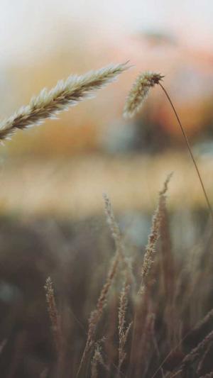 站群泛目录破解版截图2