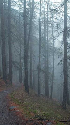 小旋风泛目录官网截图2