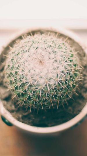 seo 排名优化工具截图3