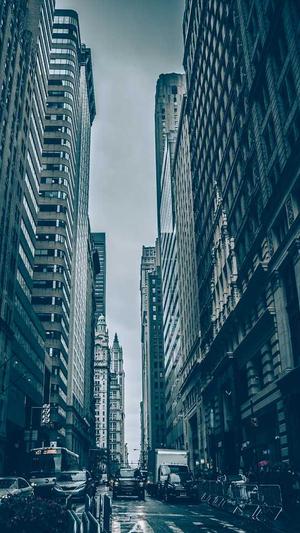 蜘蛛池链接怎么加截图3