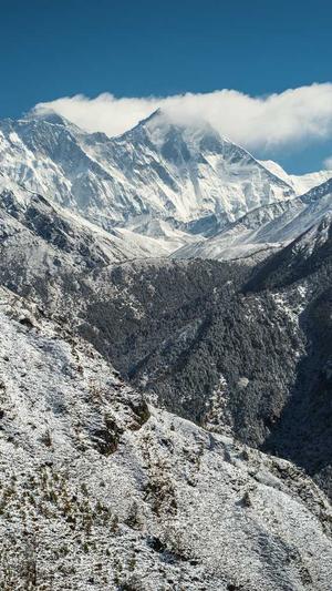 搜狗泛目录霸屏站群截图4