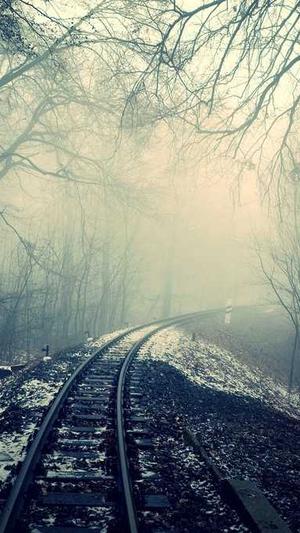 seo每天一贴截图2