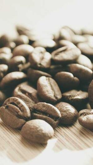 汽配网站建设截图1