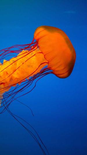 荥阳网站建设截图2