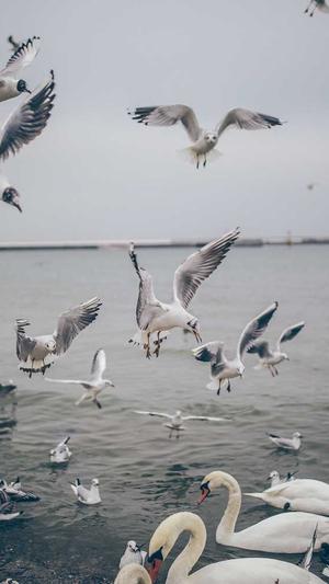 平度网站建设截图1