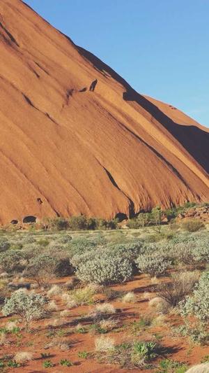 黑帽seo怎么打开泛目录截图4