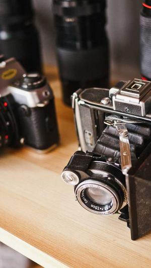 佛山网站建设公司截图2