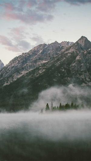 搜狗蜘蛛池权重截图4