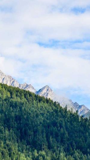 上海住房城乡建设网站官网截图3