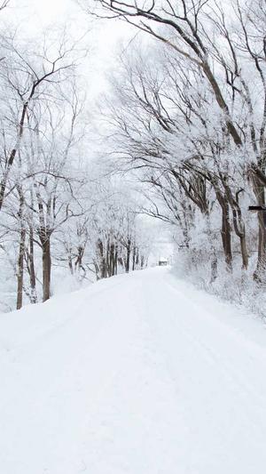 黑帽寄生虫泛目录截图1