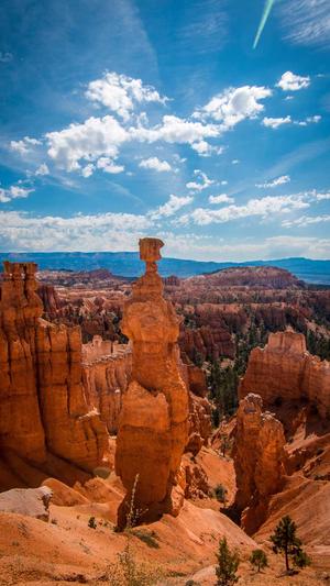 seo实战培训截图2