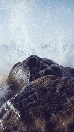 怎么seo优化截图1